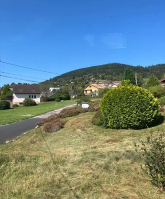 Les Deux Maisons - Little Green - Maison Cosy Proche Pistes Et Lac Gerardmer Exterior photo